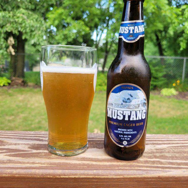 Mustang Nepal's Premium Lager 330ml