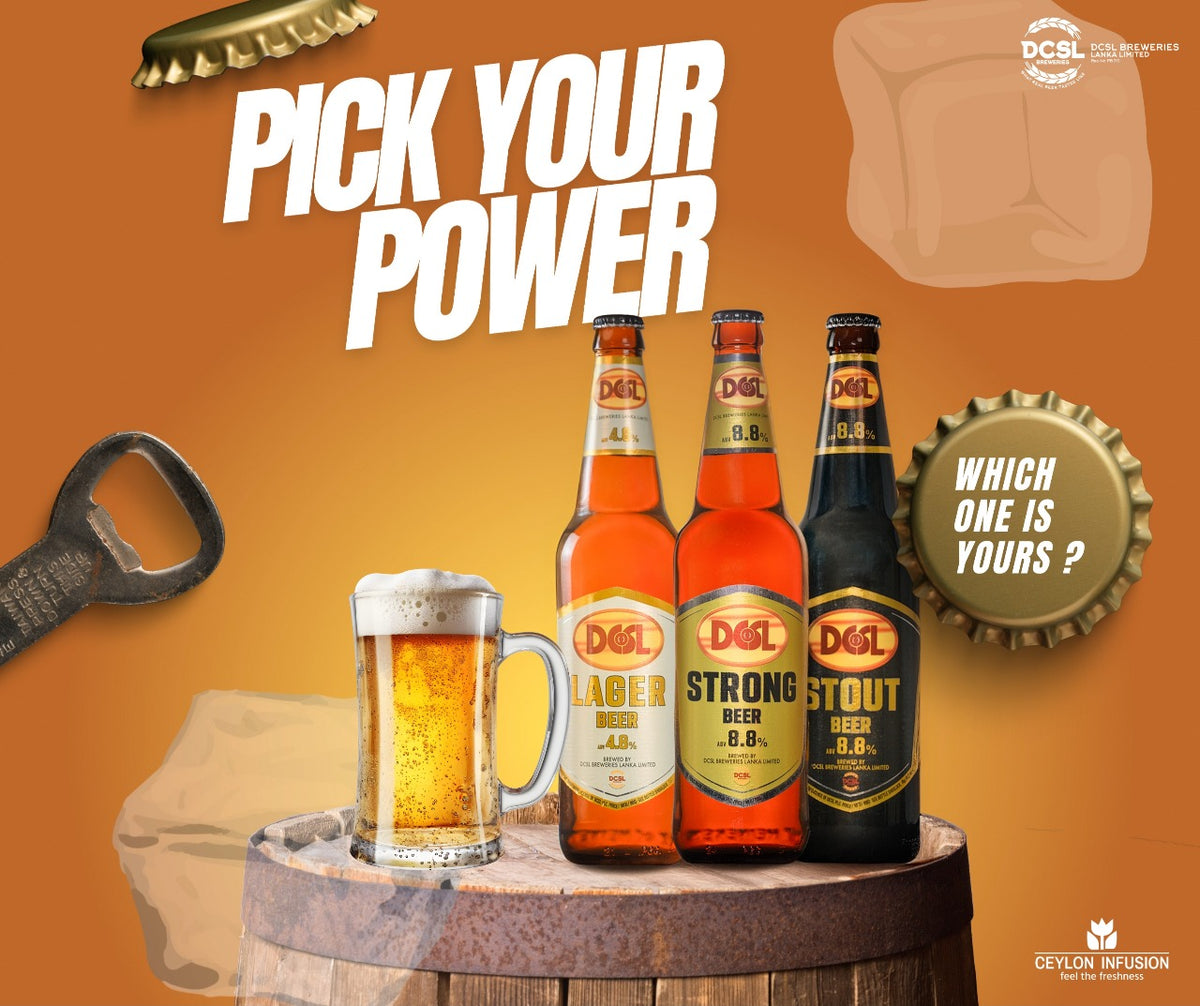 DCSL Lager 4.8% Premium Sri Lankan Beer 500mlx24
